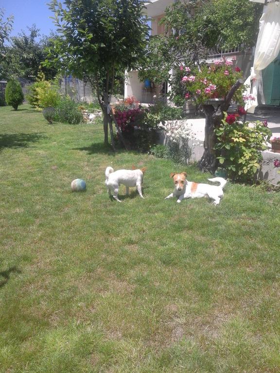 Appartamento Stai Za Gosti Bazdarovi Byala  Esterno foto